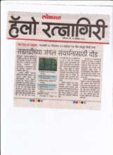 Lokmat Newspaper My Jungle