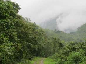 Selected land