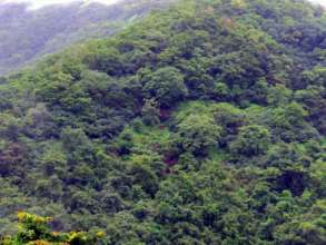 Selected land