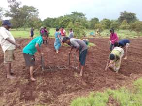 Land preparation for SRT rice cultivation