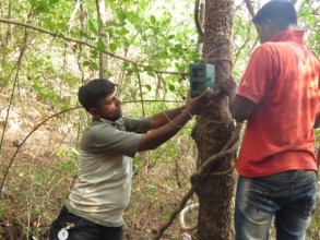 Setting up Trap Camera