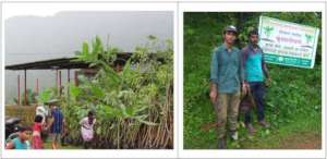 Tree Plantation with Children