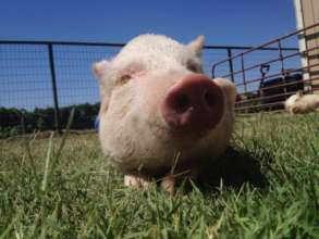 Keep Ethel happy and healthy!