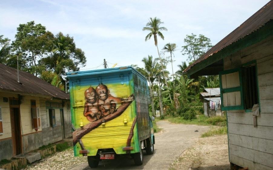 Save Orangutans from Extinction