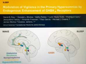 GABA and primary hypersomnia