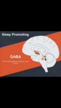 Sleep Promoting GABA