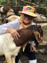 upgraded goat