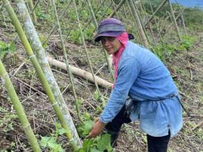 Food production