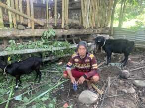 Goat for farmers