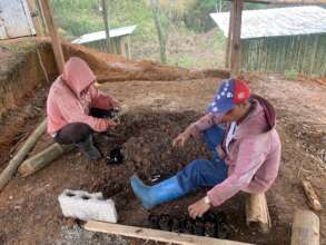 fodder production for goats