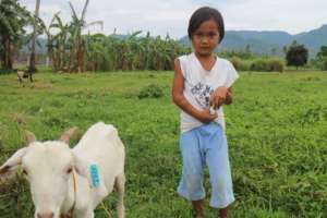 Goat dispersal