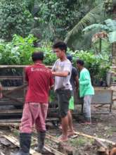 Distributing seedlings