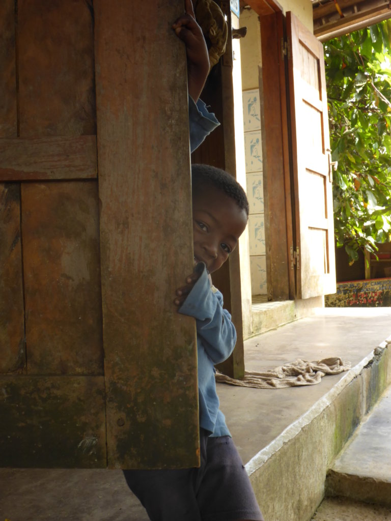 A Chicken Farm for 41 Orphans