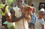 A Chicken Farm for 41 Orphans