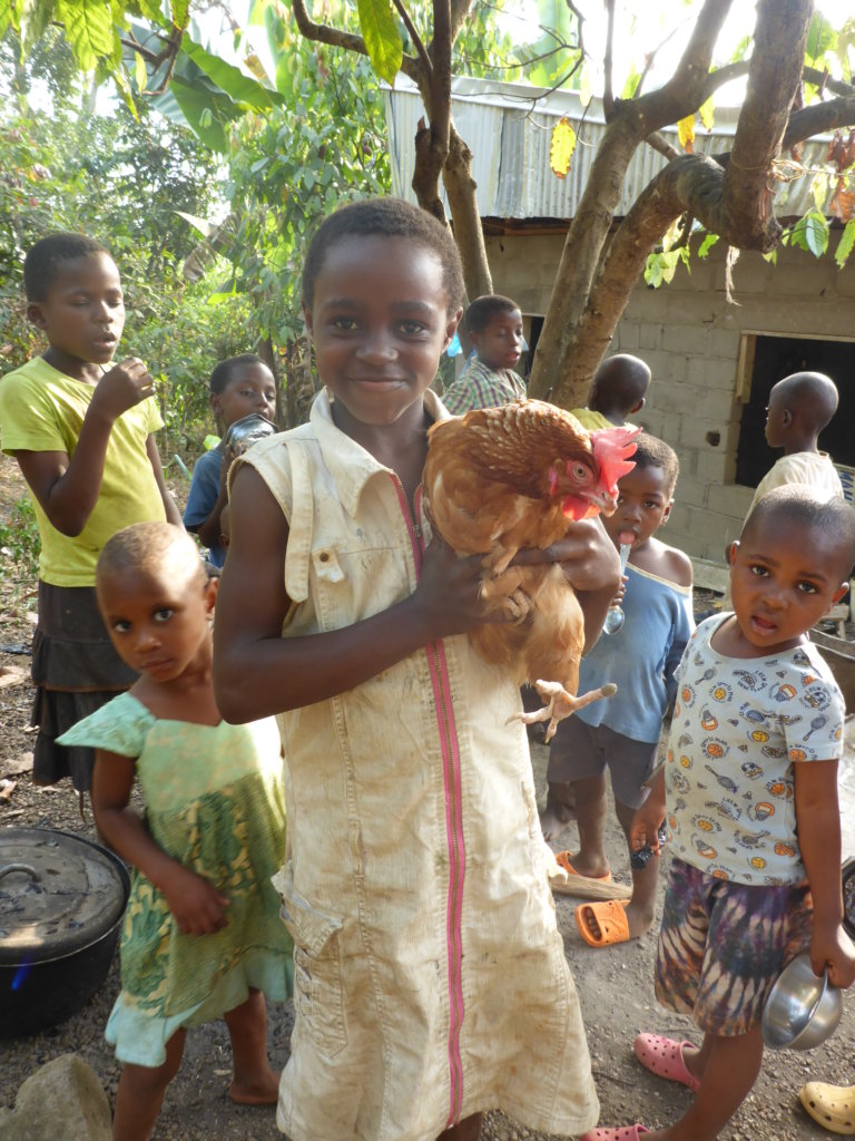 A Chicken Farm for 41 Orphans