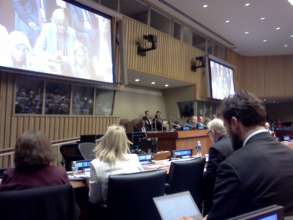ECOSOC Workgroup on Medical Issues