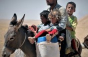 Native-Language Medical Advice for Refugees