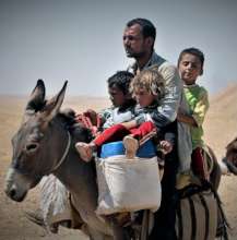 Native-Language Medical Advice for Refugees