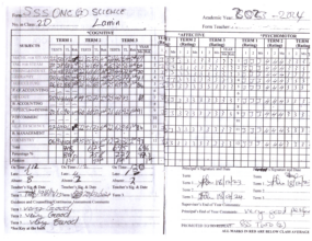 Lamin's report card