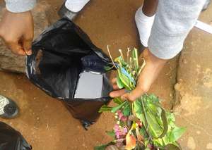 Food shared with other kids at school