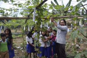 School garden at Kasambuhan Elementary