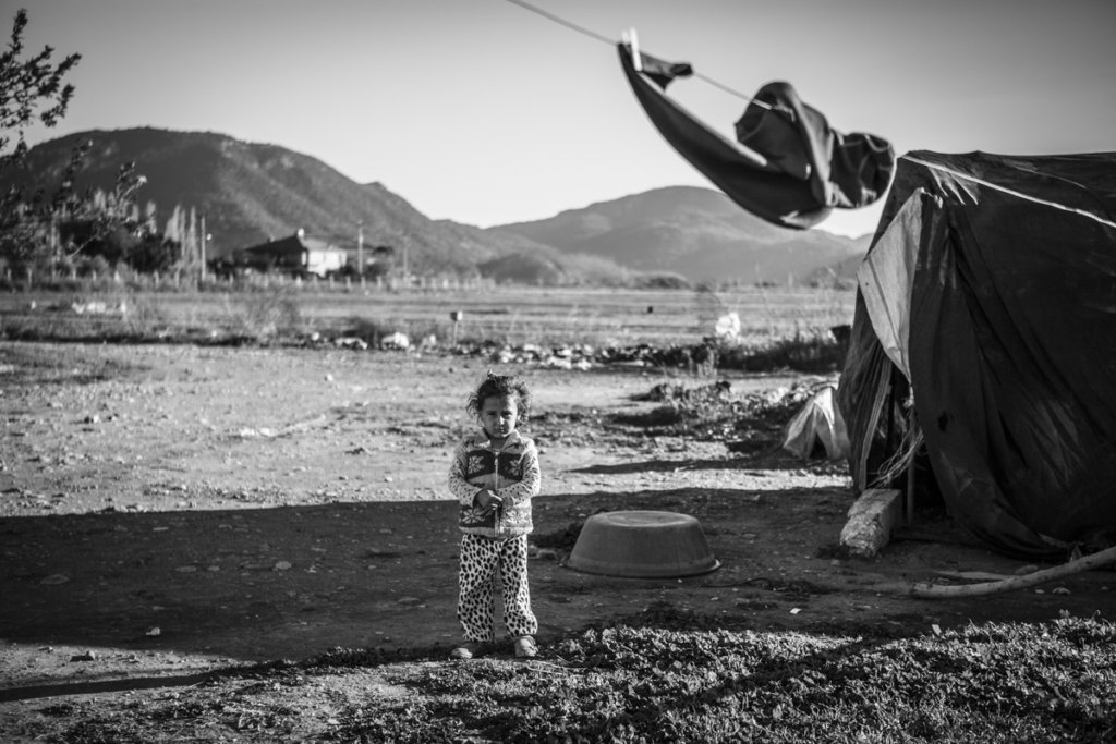 Education Versus Lost Generation!