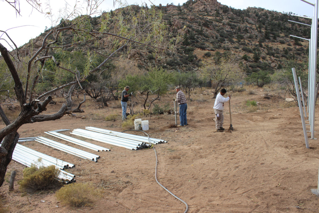Help Rescued Big Cats in Arizona