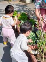 Garden exploration