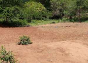 Site for proposed kitchen garden at Jora Primary