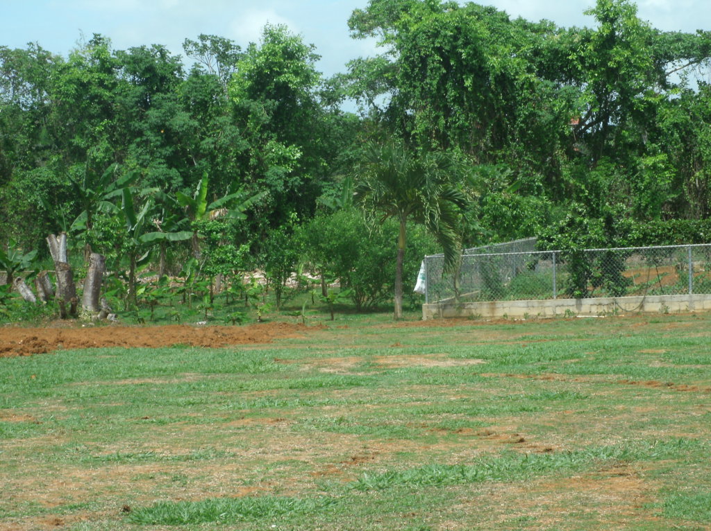 Home for abused and abandoned children.