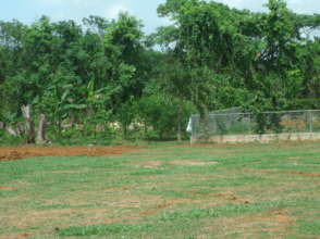 Vegetable garden