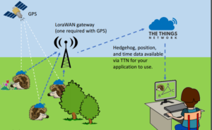 Trackahog LoraWan solution