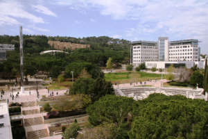 Technion Israel Institute of Technology