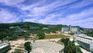 Technion View Point