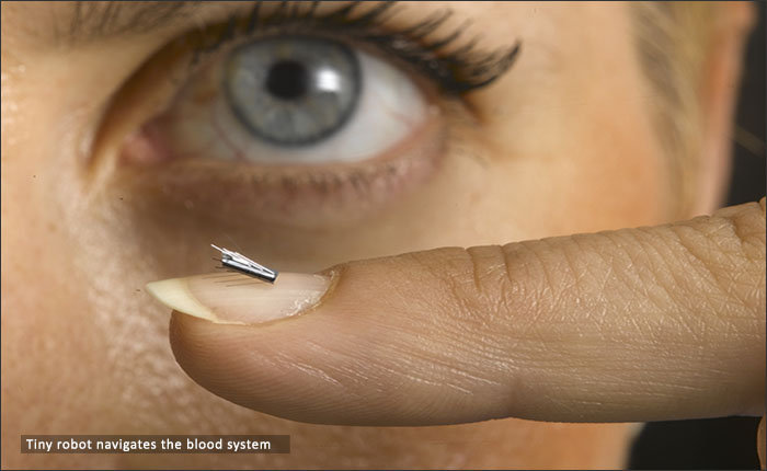 Israel Technion- Graduate Student's Fellowships