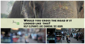 Would you?