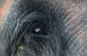 Chanchal's blind eye
