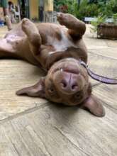 Mel's daily sunshine routine