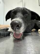 Wednesday post spike removal - a lot more cheerful