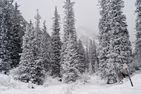 Empower Disadvantaged Children through Photograph