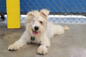 Elle, safe & healthy thanks to you!