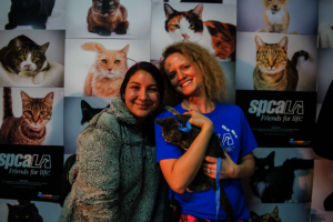 Cats on Glass Adoption in front of Adopted Wall