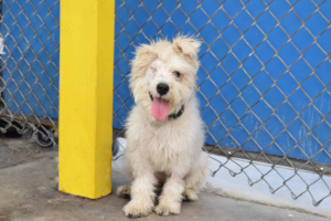 Elle, safe & healthy thanks to you!