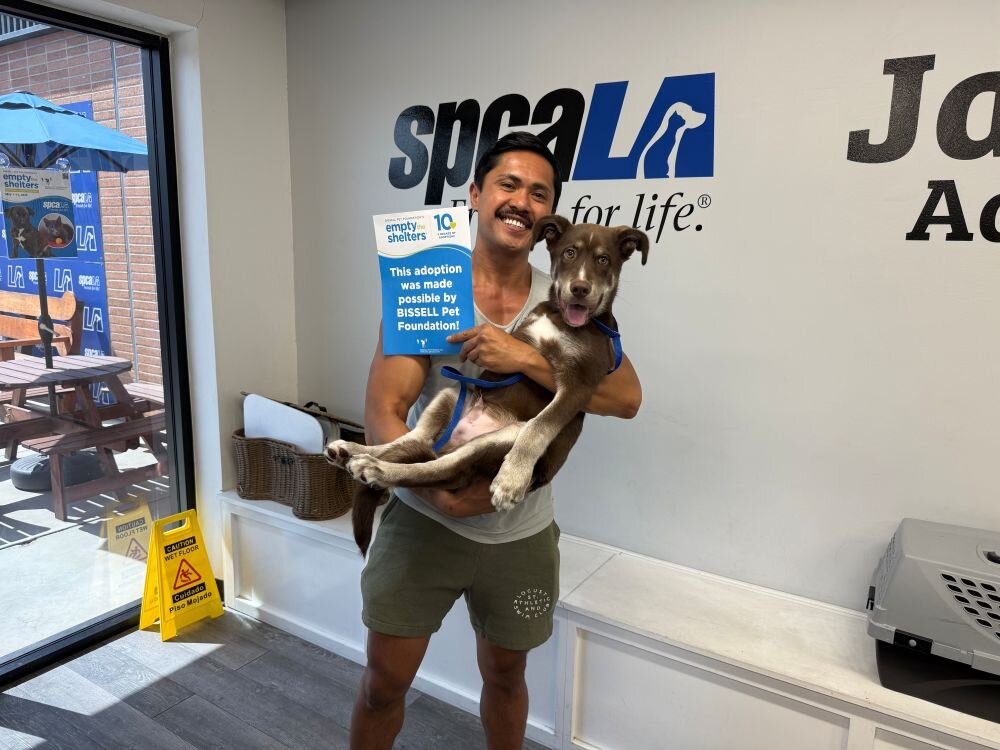 Nutella with his new dad