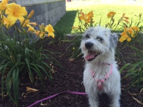 July at the shelter