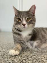 Cinder, ready to go home