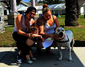Cinderella and her new family