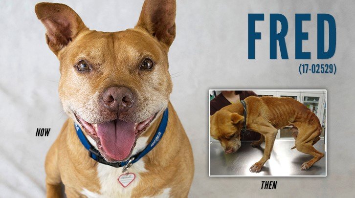 Fred then & now