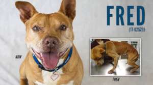 Fred then & now