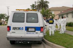 spcaLA investigates